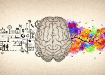 The Psychology of Education: How the Human Mind Shapes Learning